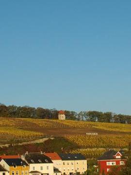 statut travailleur frontalier Luxembourg